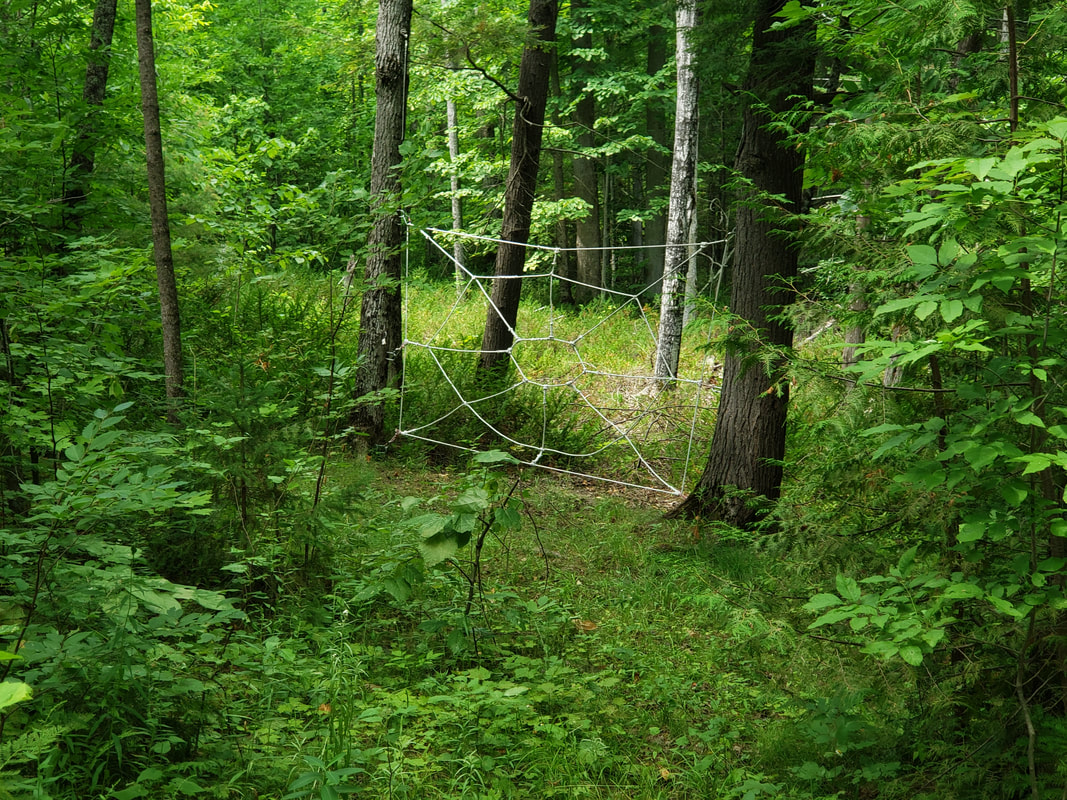 Obstacle course